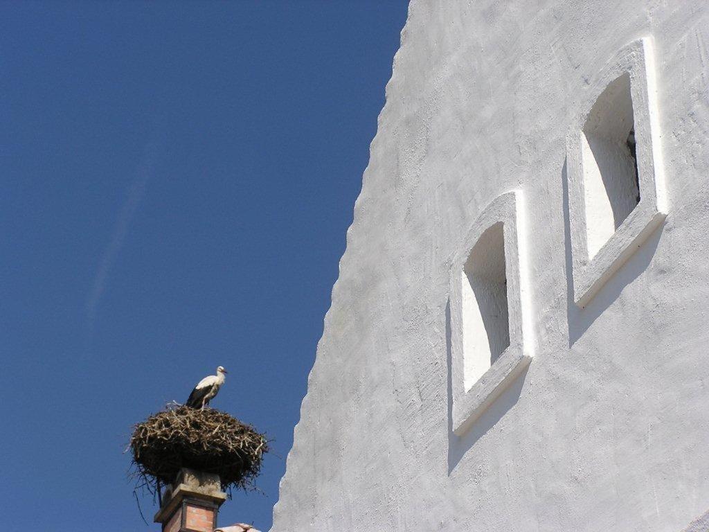 Casa.Peiso Apartment Moerbisch Am See Exterior photo